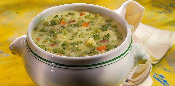 Крем-супа из шампиньонов с овощами