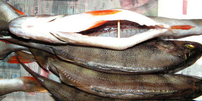 Как получить крупную сушено вяленую рыбу