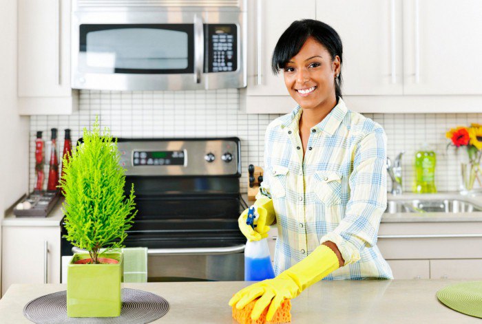 Чистота и уют в доме – отличительные особенности успешного ведения домашнего хозяйства