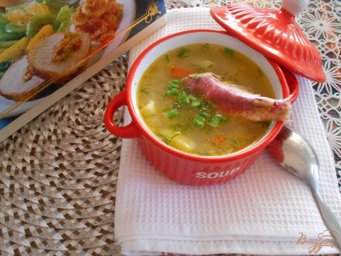 Как приготовить вкусный суп из консервированной скумбрии?