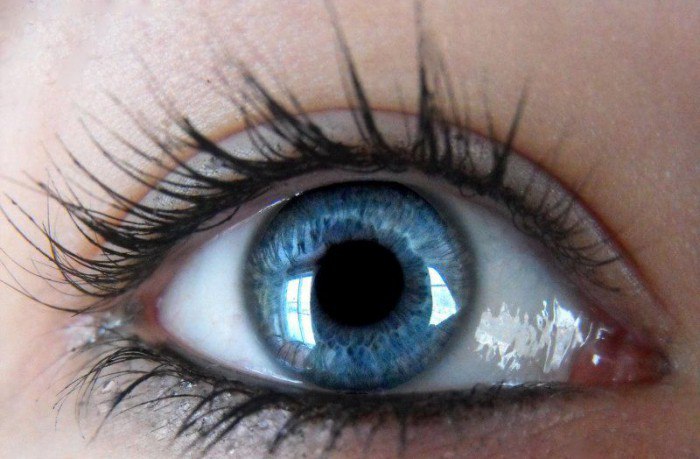 Какие бывают типы разреза глаз?