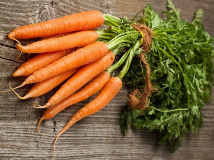Как сажать морковь на ленте и получить хороший урожай этого корнеплода?