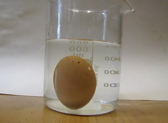 Как определить, тухлое яйцо или нет, не разбивая его?