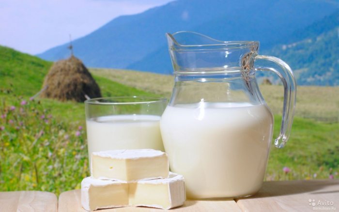 Молоко – полезный и вкусный продукт для разгрузки