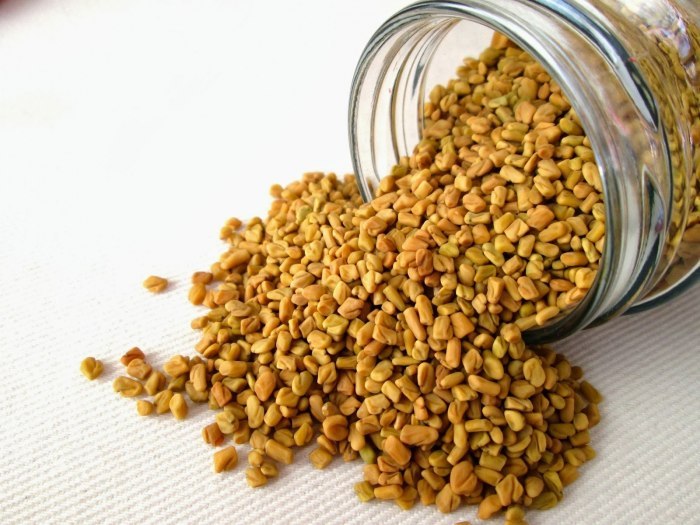 Семена Хельбы для похудения: как принимать египетский желтый чай?
