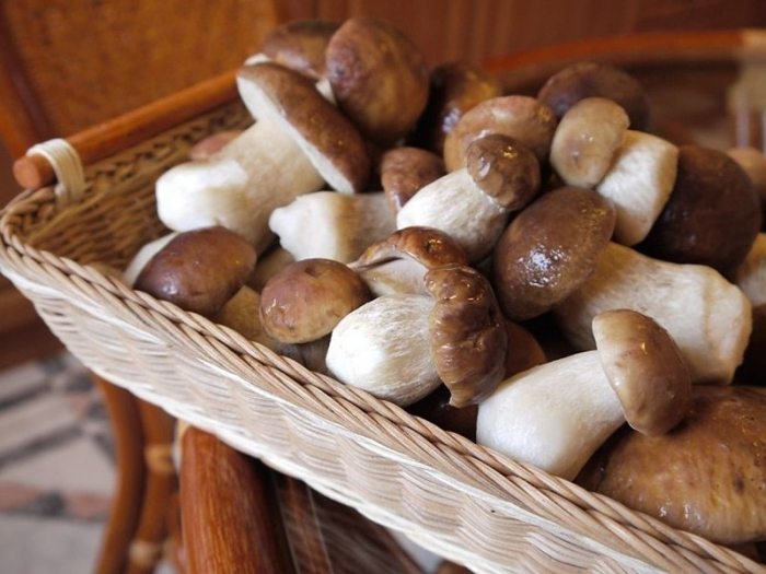 Как правильно варить грибы подосиновики и подберезовики?