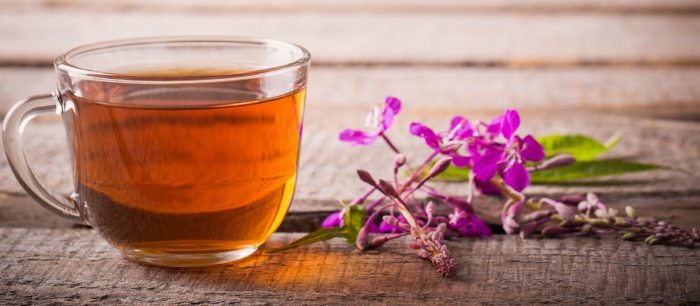 Как собирать и ферментировать копорский чай?